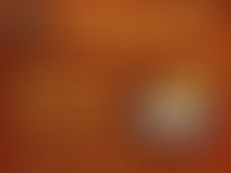 The Liar's Treasure ~ The Speranza Society #2 (by Connie Mann)