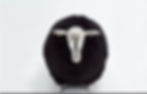 11 black sheep