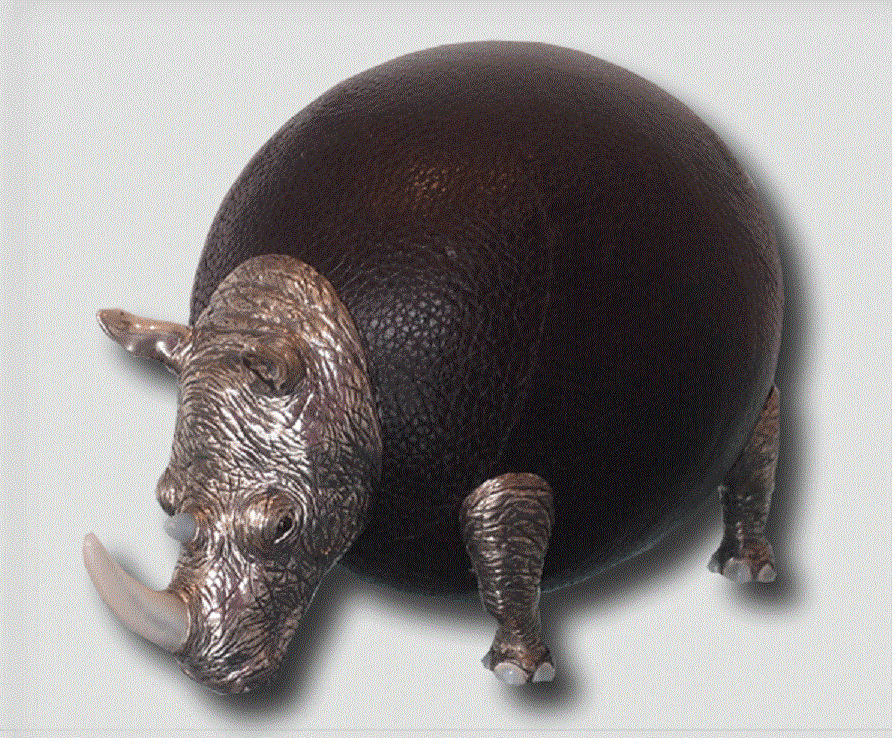 33 - RHINO LITTLE