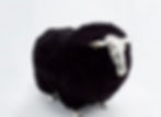 9 black sheep