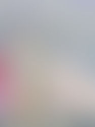 ¿Se cayó Ximena Sariñana en pleno concierto en Monterrey? — Sin evidencia confirmada 🤔🚫