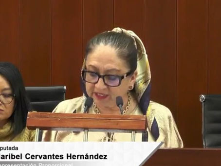 🟢 EL PT URGE A LOS 60 AYUNTAMIENTOS A TOMAR EN SERIO LA BASURA: EXHORTO PARA FORTALECER LA GESTIÓN DE RESIDUOS ♻️🏛️⚠️🌎