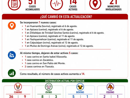 🚨🐄🐕 GUSANO BARRENADOR SIGUE AVANZANDO EN TLAXCALA: YA SON 51 CASOS EN 21 MUNICIPIOS 🪰⚠️