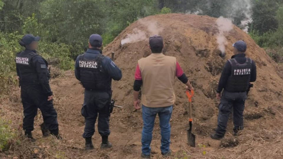 🌲🚨 DESMANTELAN HORNO CLANDESTINO DE CARBÓN DENTRO DEL PARQUE NACIONAL LA MALINCHE 🚨🌲