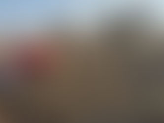 Presuntos talamontes agreden a policías en Papalotla; cuatro patrullas resultan dañadas 🚔🌲⚠️