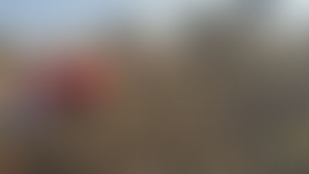 Presuntos talamontes agreden a policías en Papalotla; cuatro patrullas resultan dañadas 🚔🌲⚠️