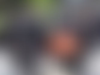 📰🚨 EN CUATRO AÑOS DEL GOBIERNO DE LORENA CUÉLLAR: SIETE POLICÍAS MUERTOS Y UNA ESTELA DE IMPUNIDAD 🚔⚰️🔥