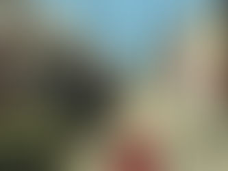 lOS MATACHINES DEL PODER | “HUAMANTLA, ORDEN, MOVILIDAD Y FUTURO: