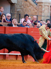 🎭 Sevilla abre la Feria de San Miguel 2025 con lleno total y un cierre de temporada marcado por la expectación 🐂🔥