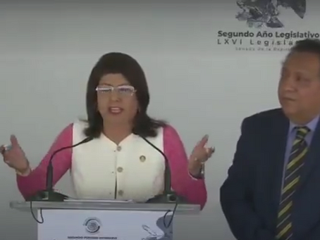 🐾 POLÉMICA NACIONAL: SENADORA ADMITE SACRIFICIO MASIVO DE PERROS EN TECÁMAC 😡⚖️🐶