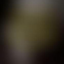 ÚLTIMAS FOTOS DE FAMOSOS ANTES DE MORIR | PARTE 2: ENTRE MEMORIA, RESPETO Y ESCRUTINIO PÚBLICO 📸🕊️🖤