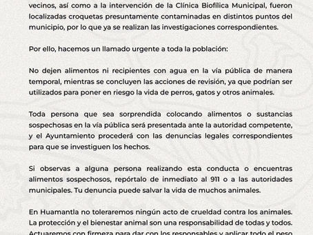🚨🐕🐈 ALERTA EN HUAMANTLA: REPORTAN CROQUETAS PRESUNTAMENTE CONTAMINADAS, PERO AUTORIDADES NO REVELAN DÓNDE NI CUÁNTAS FUERON LOCALIZADAS 🚨🐾⚠️