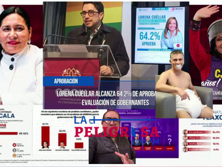 YA SIÉNTESE, SEÑORA! EL VOCERO QUE QUIERE SER PRESIDENTA DEL CLUB DE FANS DE LAS ENCUESTAS FELICES