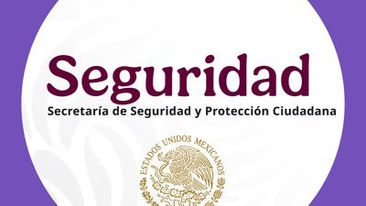 Fuerzas federales capturan en Totolac a presunto integrante de la Familia Michoacana 🚨🚓