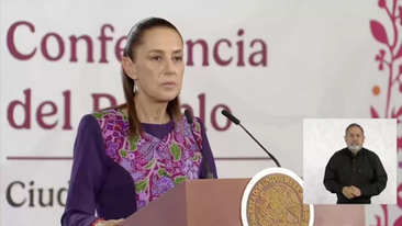 POLÉMICA NACIONAL: SACRIFICIO MASIVO DE PERROS DESATA CRISIS ÉTICA Y POLÍTICA EN MÉXICO 🐕⚠️🇲🇽