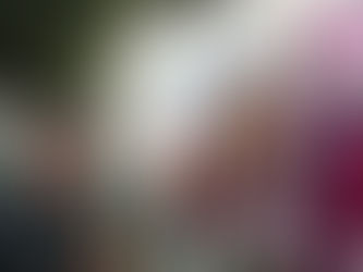 LOS MATACHINES DEL PODER: 200 MILLONES QUE SIGUEN EN EL AIRE EN TLAXCALA 