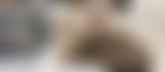 Caring In-Home Family Pet Euthanasia Services: A Last Present of Love