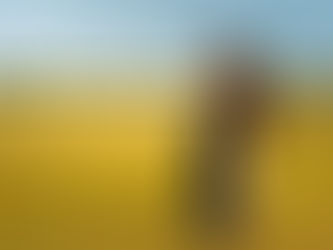 Life to the Fullest: Tips for Having Fun While Maintaining Sobriety