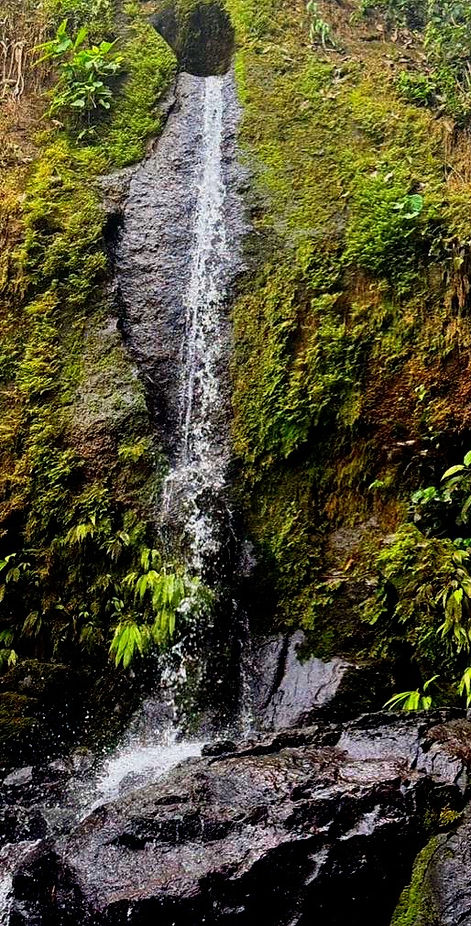 7D10FC1B-4D37-49E4-AF6E-071761C804FE_1_105_c (edited)_edited.jpg