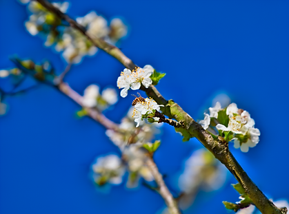 AdobeStock_336068771.png