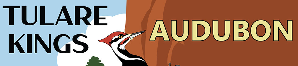 Logo long narrow.jpg