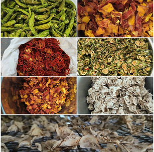 WhatsApp Image 2025-10-22 at 1.35.08 PM.jpeg