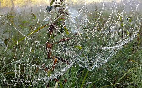 Netzwerk, Die Naturheilpraktikerinnen, Renate Frank, Daniela Weinig