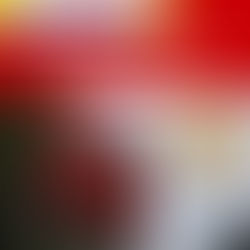 Bancários do Bradesco na Agrishow: uso de botas não é obrigatório