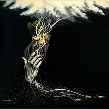 Chhoeun Channy Household Smoke.webp