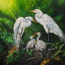 Chhoeun Channy Lockdown.webp