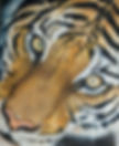 tiger2.jpg