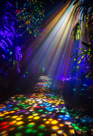 The Nightgarden