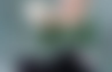 How to Survive : Debt