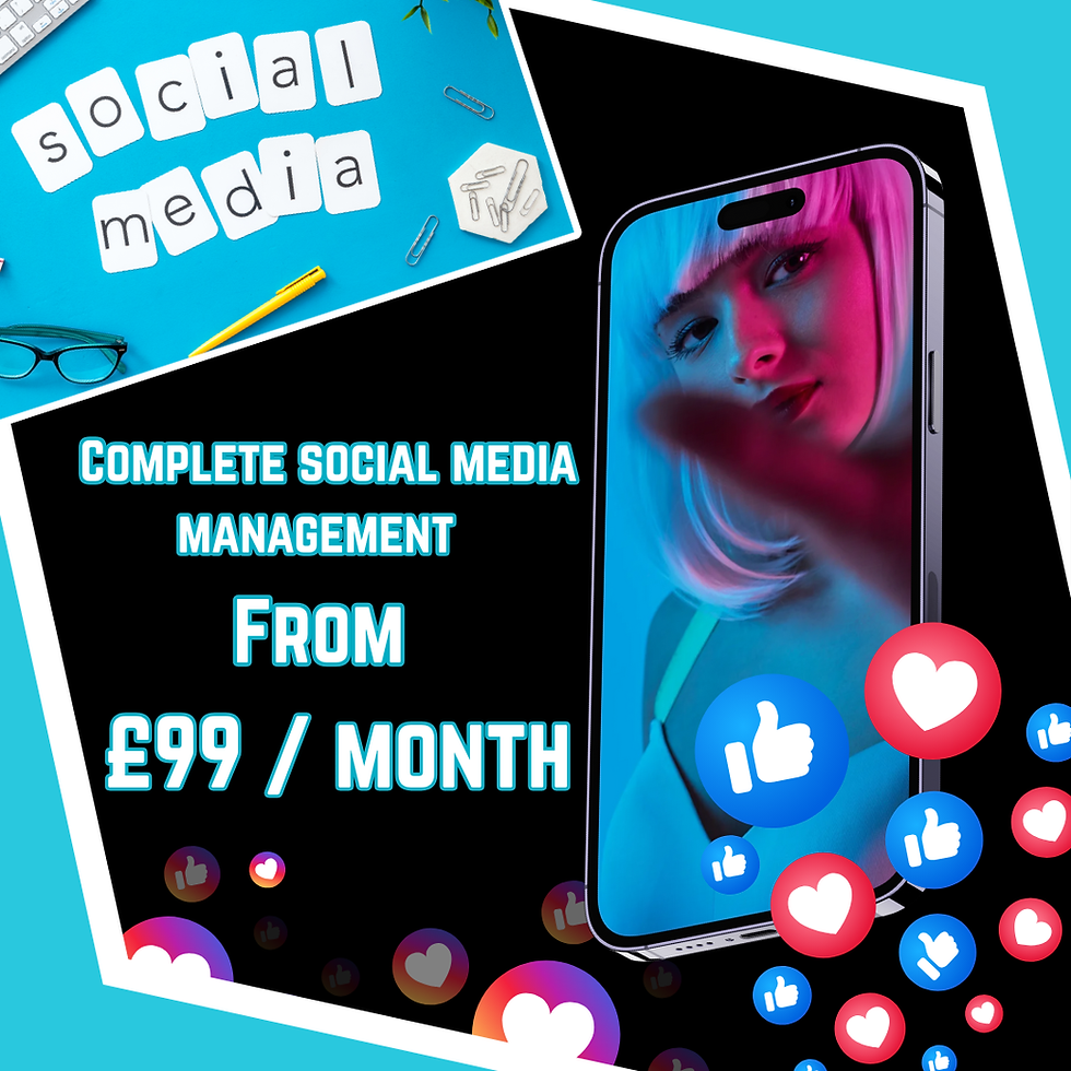 Professional Social Media Management from £99 per month
