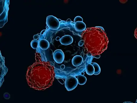 Rebuilding Immune System Tolerance in PANS, PANDAS & ASD