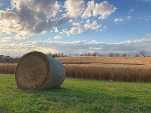 Methamphetamine and Stimulant Use in Rural Iowa Communities