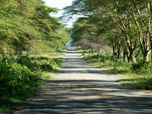 Spirituality in tribal addiction