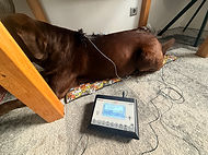 Stromtherapie bei Spondylose