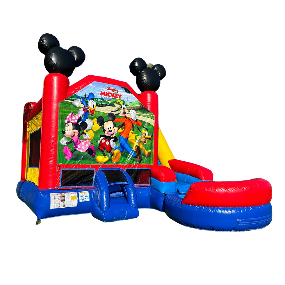 Thumbnail: 24x16ft DISNEY MICKEY MOUSE™ (6 in 1 Combo Wet or Dry)