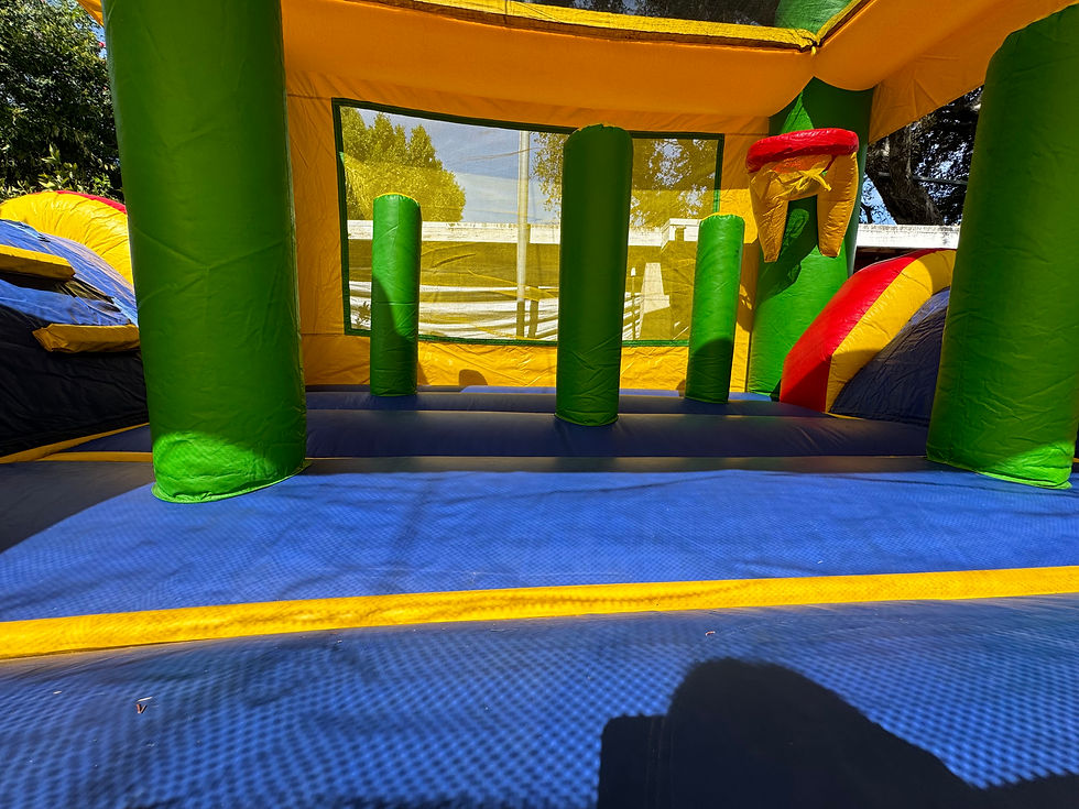 Thumbnail: 15x35ft DUAL SLIDE OBSTACLE COURSE