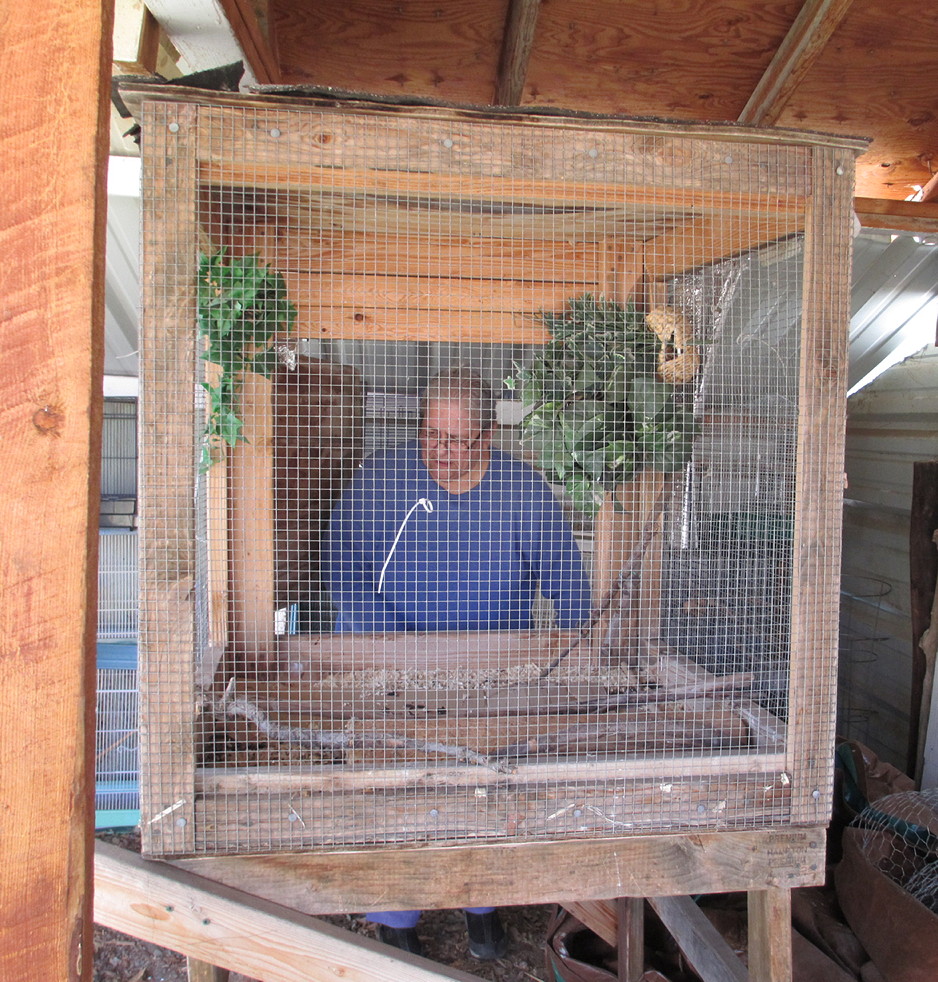 Small Flight Cage