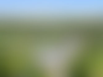 Curbed Construction Featured in Metal Builder Magazine