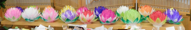 DSCN0535.JPG