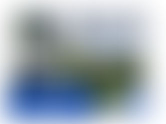 Access to the Transformer Pole