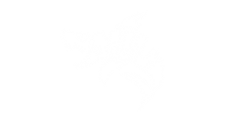 signature luci.png