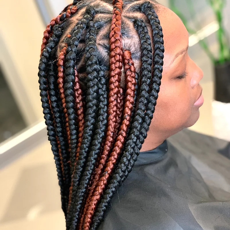 Braids Braids