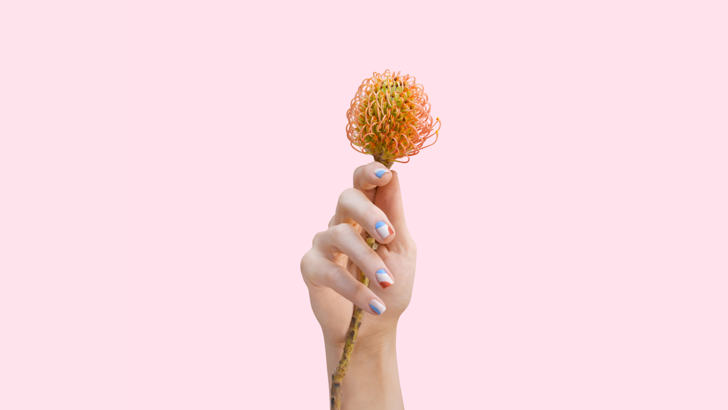 Vogue Nails & Spa | Charleston's Premier Nail Salon