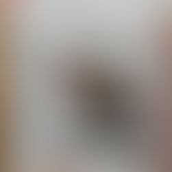 Newspaper page titled Cambridge Independent, featuring a fish dish recipe with text about tuna sashimi. Emphasizes culinary traditions.