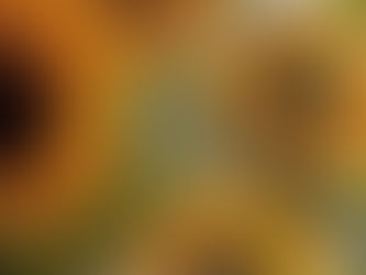 Sunflowers painted on a canvas with a brush