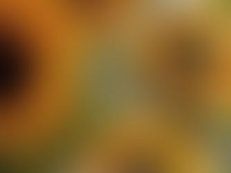 Sunflowers painted on a canvas with a brush